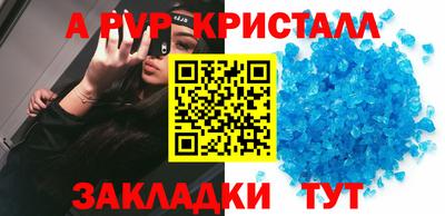 шишки Лесосибирск