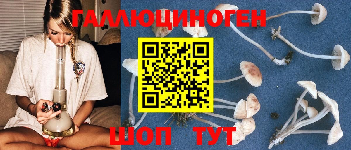 Галлюциногенные грибы мухоморы  Псилоцибиновые грибы Psilocybine cubensis  Электрогорск  Вход с VPN 